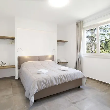 Dama 2 Бардолино